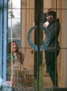 Имя файла=Cheryl_Cole_and_Will_I_Am_inside_the_Judges_House_18_09_10_7.jpg
Размер файла=628КБ
Размеры=1899x2535
Дата=Март 12, 2012 Cheryl_Cole_and_Will_I_Am_inside_the_Judges_House_18_09_10_7.jpg