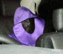 Cheryl_at_Sarah_Hardings_Halloween_Party_30_10_10_19.jpg