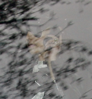 Cheryl_Cole_leaves_a_studio_in_London_13_02_10_6.jpg