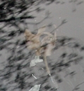 Cheryl_Cole_leaves_a_studio_in_London_13_02_10_6.jpg