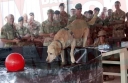 Cheryl_in_Afghanistan_14_09_11_53.jpg