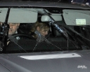 Имя файла=Cheryl_and_Kimberley_leaving_Bungalow_8_09_10_11_2.jpg
Размер файла=577КБ
Размеры=3600x2919
Дата=Март 11, 2012 Cheryl_and_Kimberley_leaving_Bungalow_8_09_10_11_2.jpg
