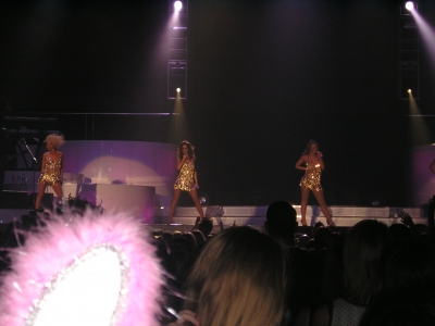 Tangled_Up_Tour_-_Odyssey_Arena_Belfast_NI_050508_38.jpg