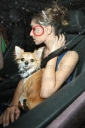 Имя файла=Cheryl__Nicola_In_brighton_140508_2.jpg
Размер файла=29КБ
Размеры=343x512
Дата=Март 09, 2012 Cheryl__Nicola_In_brighton_140508_2.jpg