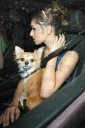 Имя файла=Cheryl__Nicola_In_brighton_140508_23.jpg
Размер файла=28КБ
Размеры=343x512
Дата=Март 09, 2012 Cheryl__Nicola_In_brighton_140508_23.jpg