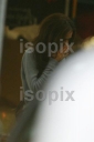 Girls_Aloud_Leaving_This_Mornings_Studio_051108_2.jpg
