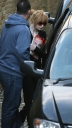 Имя файла=Girls_Aloud_seen_leaving_a_studio2C_London_07_04_08_281829.jpg
Размер файла=2003КБ
Размеры=2500x4411
Дата=Апр 15, 2012 Girls_Aloud_seen_leaving_a_studio2C_London_07_04_08_281829.jpg