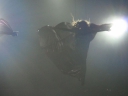 Tangled_Up_Tour_2008_Glasgow_07_05_08_284129.jpg