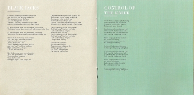 Tangled_Up_Album_Lyrics__Girls_Credits_4.jpg