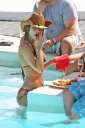 in_Marbella_20_06_07_36.jpg