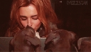 5_28829.gif