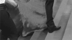 tumblr_m56elbFKrz1qjlwugo7_250.gif