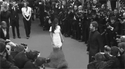 tumblr_m56elbFKrz1qjlwugo8_250.gif