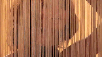 LOreal_Elnett_8.gif