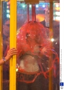 Girls_Aloud_at_Ministry_of_Mayhem_180904_5.jpg