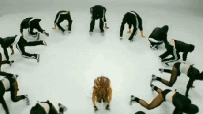 2_28829.gif
