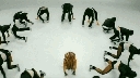 2_28829.gif