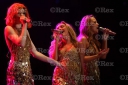 Имя файла=Tangled_Up_Tour_2008_Newmarket_18_07_08_284929.jpg
Размер файла=38КБ
Размеры=550x367
Дата=Янв 18, 2014 Tangled_Up_Tour_2008_Newmarket_18_07_08_284929.jpg