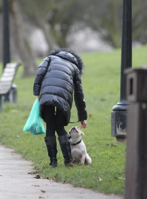 Sarah_Harding_walking_her_dog_Claude_in_North_London__It_was_Claude_s_first_walk_in_a_week_after_he_suffered_a_slipped_disc__London2C_England_20_02_12_284029.jpg