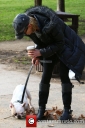 Sarah_Harding_walking_her_dog_Claude_in_North_London__It_was_Claude_s_first_walk_in_a_week_after_he_suffered_a_slipped_disc__London2C_England_20_02_12_282029.jpg