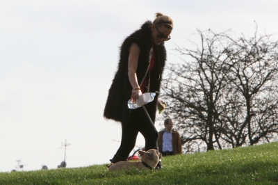 Sarah_Harding_walking_her_dogs_in_Primrose_Hill_10_03_12_281929.jpg