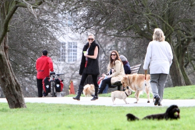 Sarah_Harding_walking_her_dogs_in_Primrose_Hill_10_03_12_282229.jpg