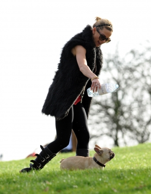 Sarah_Harding_walking_her_dogs_in_Primrose_Hill_10_03_12_284129.jpg