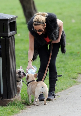 Sarah_Harding_walking_her_dogs_in_Primrose_Hill_10_03_12_284829.jpg