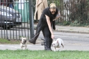 Sarah_Harding_walking_her_dogs_in_Primrose_Hill_10_03_12_281129.jpg