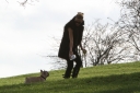 Sarah_Harding_walking_her_dogs_in_Primrose_Hill_10_03_12_282029.jpg