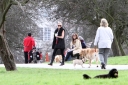 Sarah_Harding_walking_her_dogs_in_Primrose_Hill_10_03_12_282229.jpg