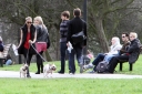 Sarah_Harding_walking_her_dogs_in_Primrose_Hill_10_03_12_282329.jpg