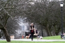Sarah_Harding_walking_her_dogs_in_Primrose_Hill_10_03_12_28329.jpg