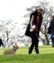 Sarah_Harding_walking_her_dogs_in_Primrose_Hill_10_03_12_284229.jpg