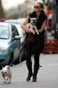 Имя файла=Sarah_Harding_walking_her_dogs_in_Primrose_Hill_10_03_12_285629.jpg
Размер файла=1446КБ
Размеры=2832x4256
Дата=Март 16, 2012 Sarah_Harding_walking_her_dogs_in_Primrose_Hill_10_03_12_285629.jpg