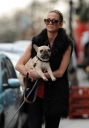 Sarah_Harding_walking_her_dogs_in_Primrose_Hill_10_03_12_285729.jpg