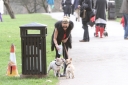 Sarah_Harding_walking_her_dogs_in_Primrose_Hill_10_03_12_28929.jpg