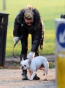 Sarah_Harding_walks_her_dog_07_02_12_281229.jpg