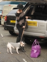 Sarah_Harding_walks_her_dog_21_01_12_282129.jpg