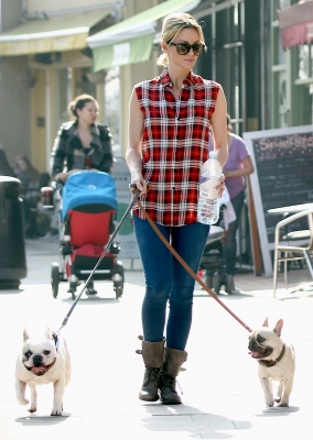 Sarah_Harding_walking_her_dogs_in_Primrose_Hill_15_03_12_283529.jpg