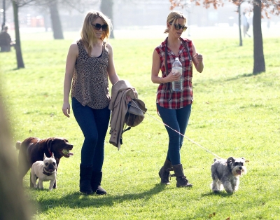 Sarah_Harding_walking_her_dogs_in_Primrose_Hill_15_03_12_28729.jpg