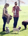Имя файла=Sarah_Harding_walking_her_dogs_in_Primrose_Hill_15_03_12_281229.jpg
Размер файла=906КБ
Размеры=2927x3744
Дата=Март 16, 2012 Sarah_Harding_walking_her_dogs_in_Primrose_Hill_15_03_12_281229.jpg