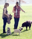 Имя файла=Sarah_Harding_walking_her_dogs_in_Primrose_Hill_15_03_12_281329.jpg
Размер файла=946КБ
Размеры=3198x3795
Дата=Март 16, 2012 Sarah_Harding_walking_her_dogs_in_Primrose_Hill_15_03_12_281329.jpg
