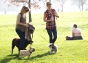 Имя файла=Sarah_Harding_walking_her_dogs_in_Primrose_Hill_15_03_12_281429.jpg
Размер файла=977КБ
Размеры=3365x2442
Дата=Март 16, 2012 Sarah_Harding_walking_her_dogs_in_Primrose_Hill_15_03_12_281429.jpg