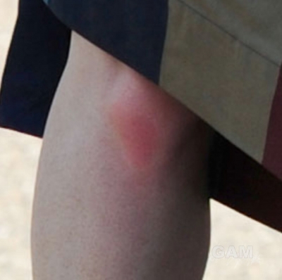 Kim_and_Nicola_attend_a_friends_wedding_in_Berkshire_3_06_11_282029.jpg