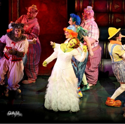 Kimberley_as_Princess_Fiona_in_Shrek_05_10_11_2810529.jpg