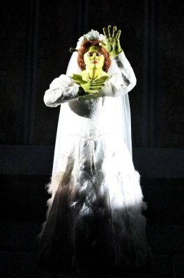 Kimberley_as_Princess_Fiona_in_Shrek_05_10_11_284029.jpg