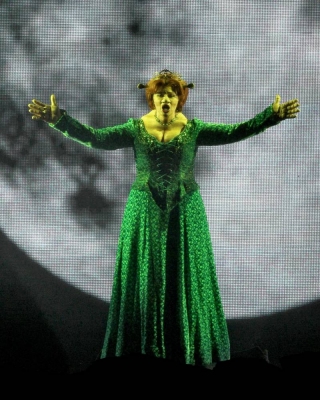 Kimberley_as_Princess_Fiona_in_Shrek_05_10_11_284729.jpg