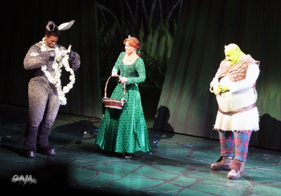 Kimberley_as_Princess_Fiona_in_Shrek_05_10_11_286529.jpg