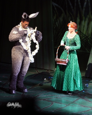 Kimberley_as_Princess_Fiona_in_Shrek_05_10_11_286629.jpg